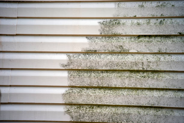 Best Mattress Disposal  in Ridgewood, NJ